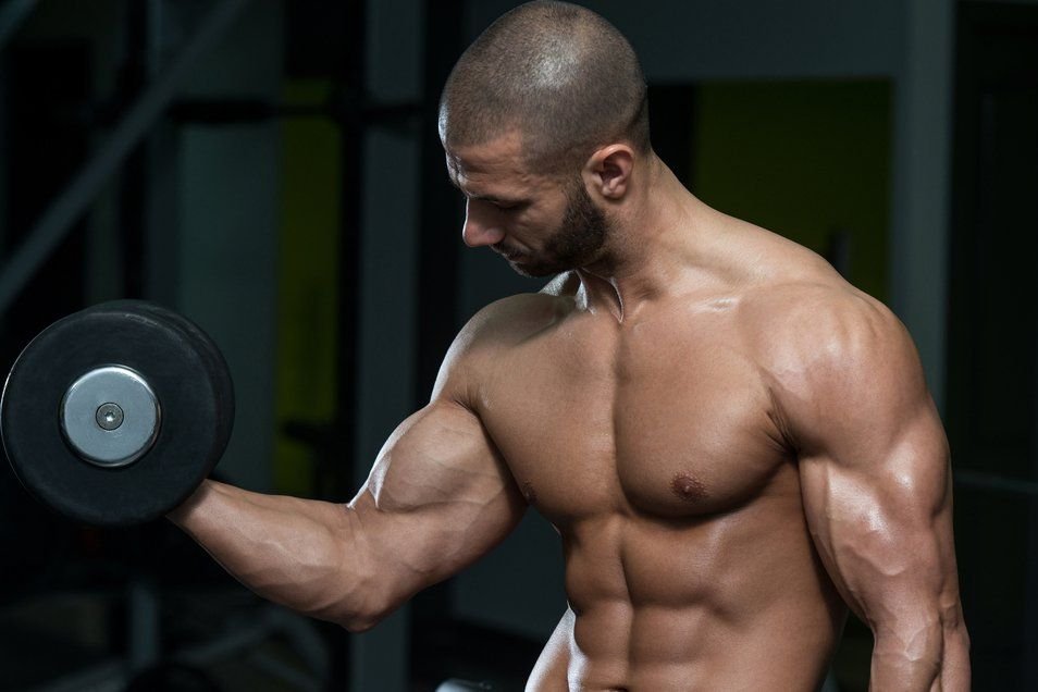 How To Set off New Muscle Development Throughout A Biceps Curl